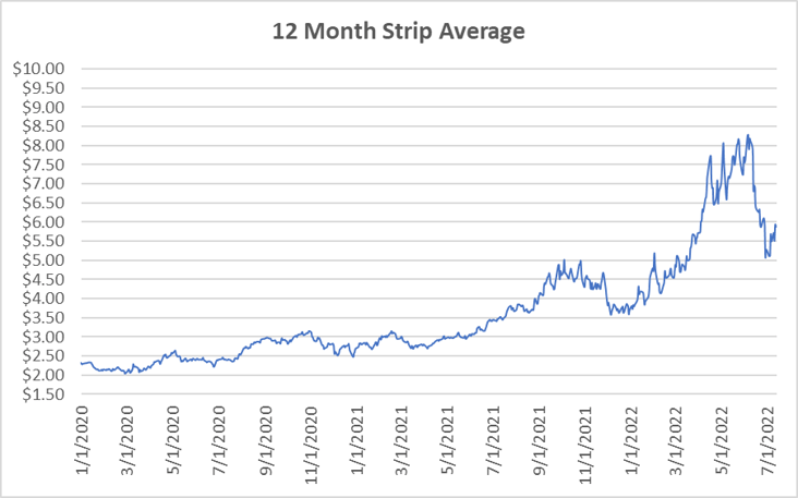 12 Month Strip graph for natural gas July 14 2022 report