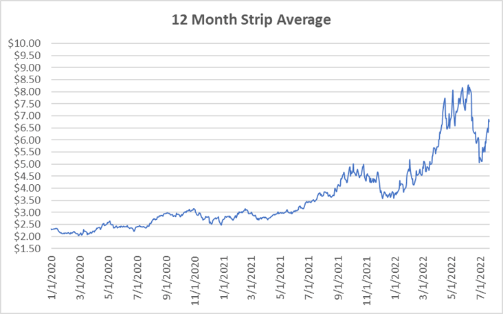 12 Month Strip graph for natural gas July 21 2022 report