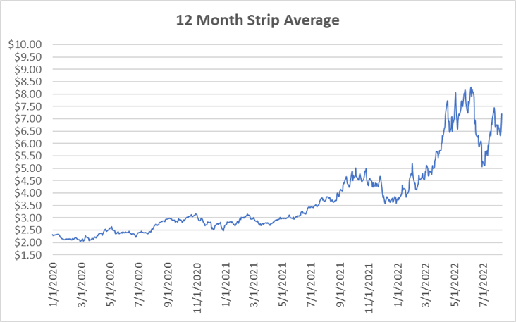 12 Month Strip graph for natural gas August 11 2022 report