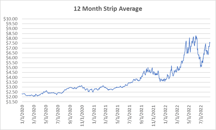 12 Month Strip graph for natural gas August 18 2022 report