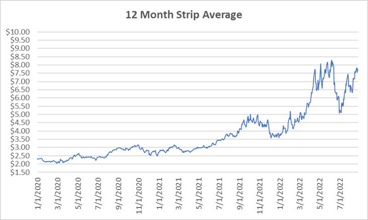 12 Month Strip graph for natural gas August 25 2022 report