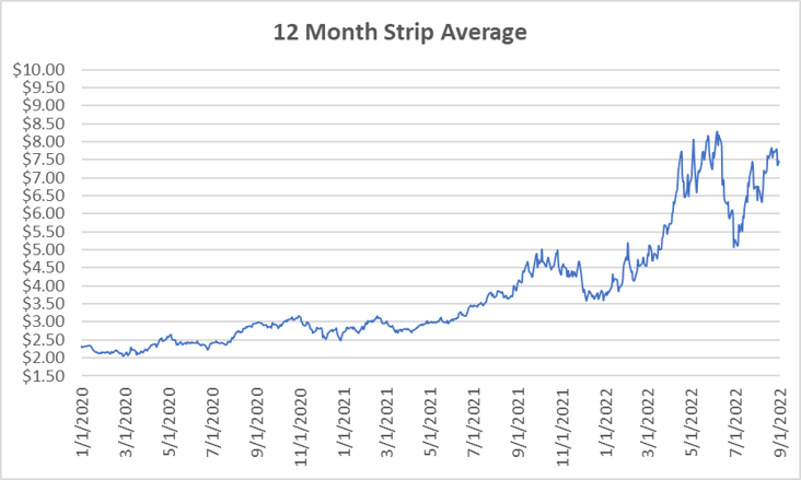 12 Month Strip graph for natural gas September 1 2022 report